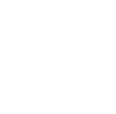 Beyond Solutions